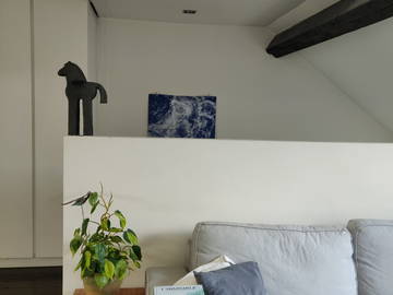 Entire home à louer à Ixelles - other room-6