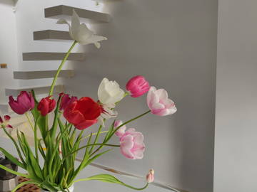 Entire home à louer à Ixelles - other room-8
