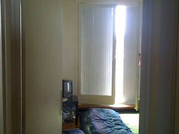 Kolokasie Lyon 12019-2