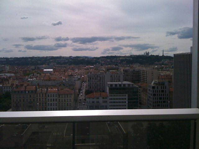 Kolokasie Lyon 12019-3