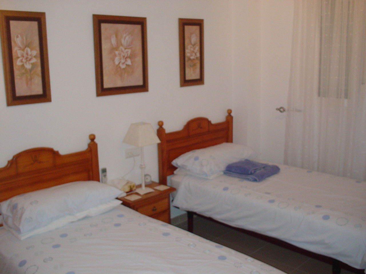 Logement Entier El Ejido 100981