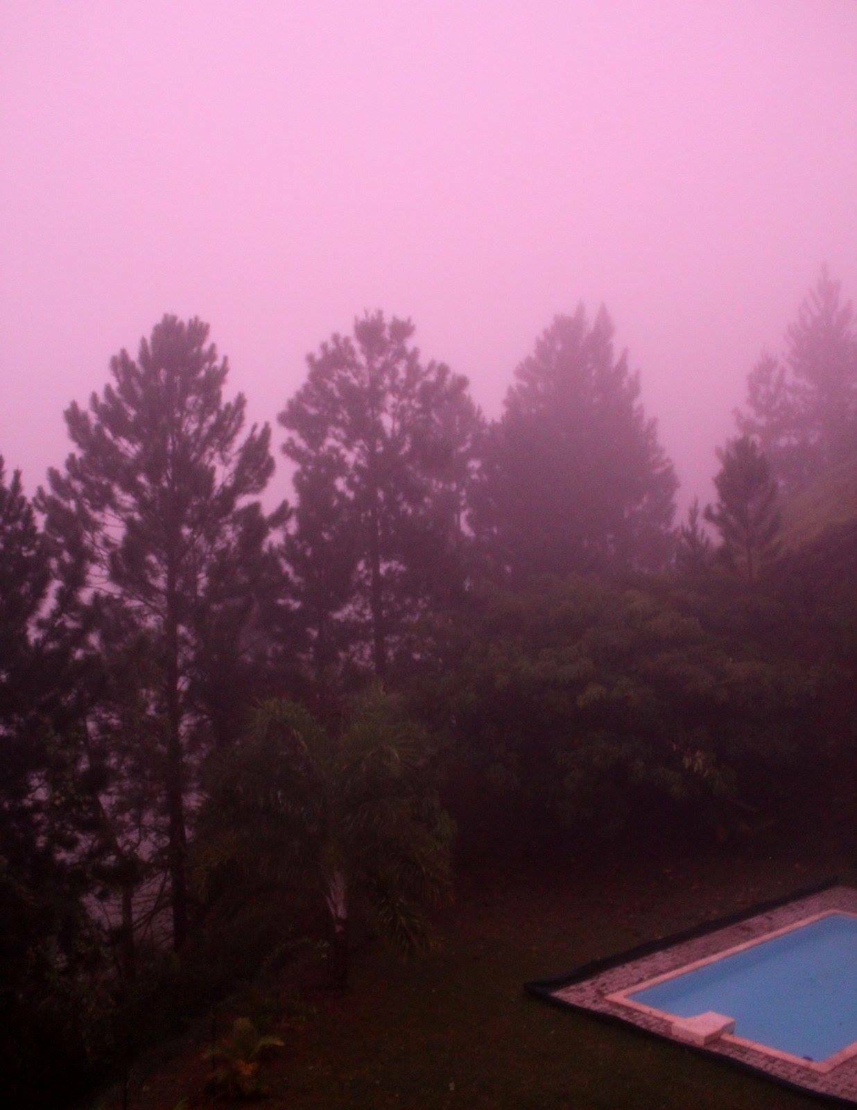 Onafhankelijke Studio Puna'auia 390572