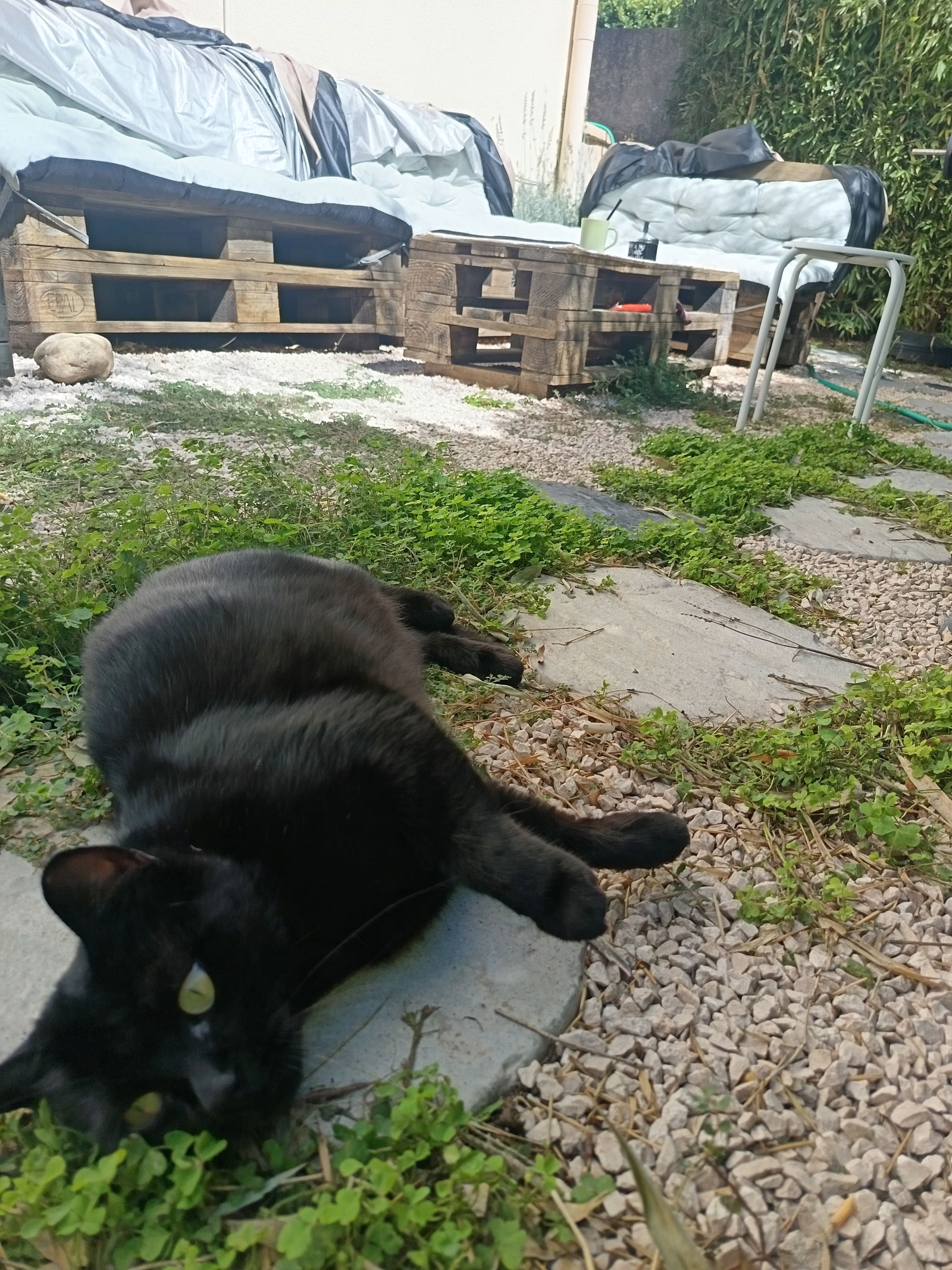 Gastgezin Le Pontet 266044