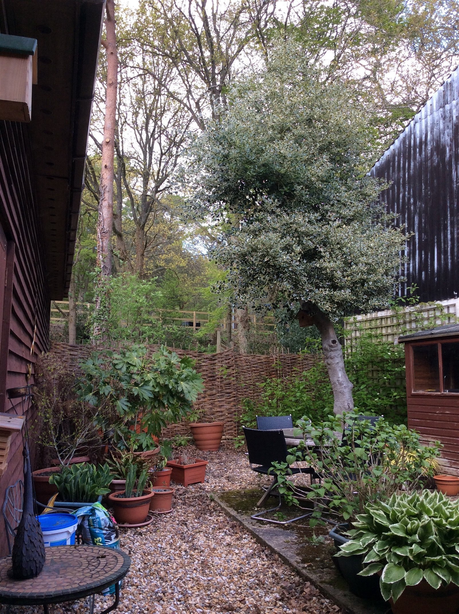 Chambre Chez L'habitant Churt 166062