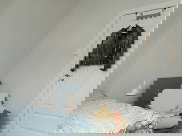 Logement Entier Strasbourg 664320-5