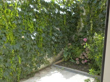 Colocation Saint-Gilles 46724-4