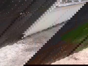 Chambre Chez L'habitant Douala 331606-6