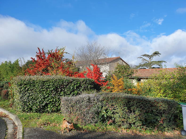 Cały Dom Fontenilles 556871-2