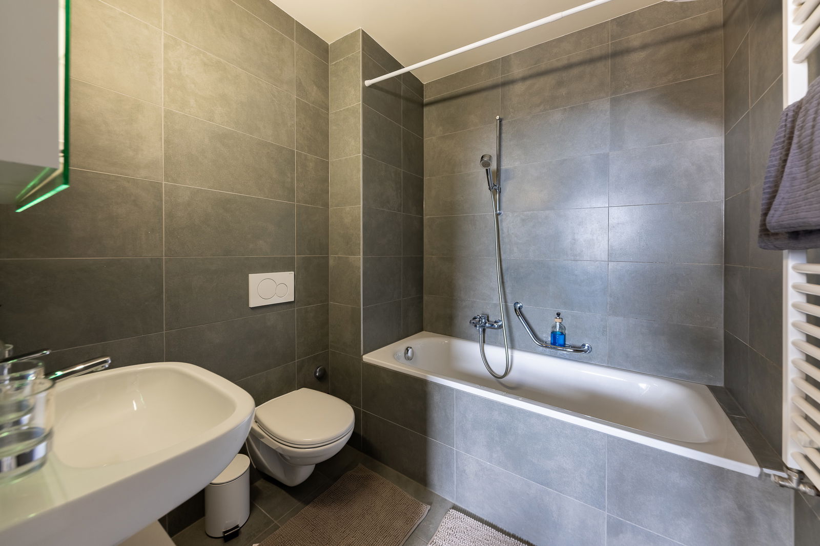 Gehele Woning Renens 599430