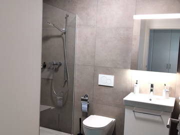 Logement entier à louer à Chavannes-Près-Renens - photo 14 : salle de bain-14