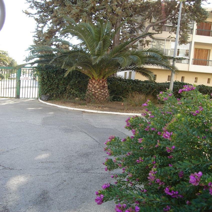 Itsenäinen Studio La Seyne-sur-Mer 84620