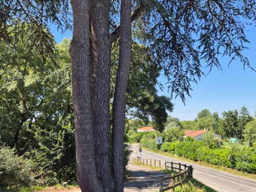 Logement Entier Basse-Goulaine 661415-7