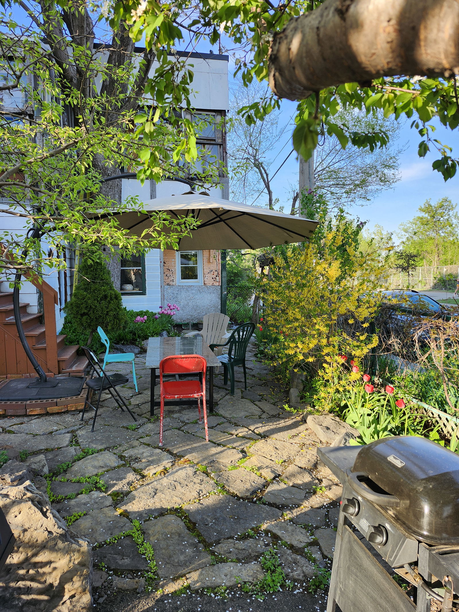 Logement Entier Montréal 156691