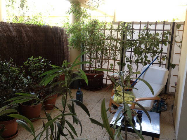 Colocation Chelles 27992-2