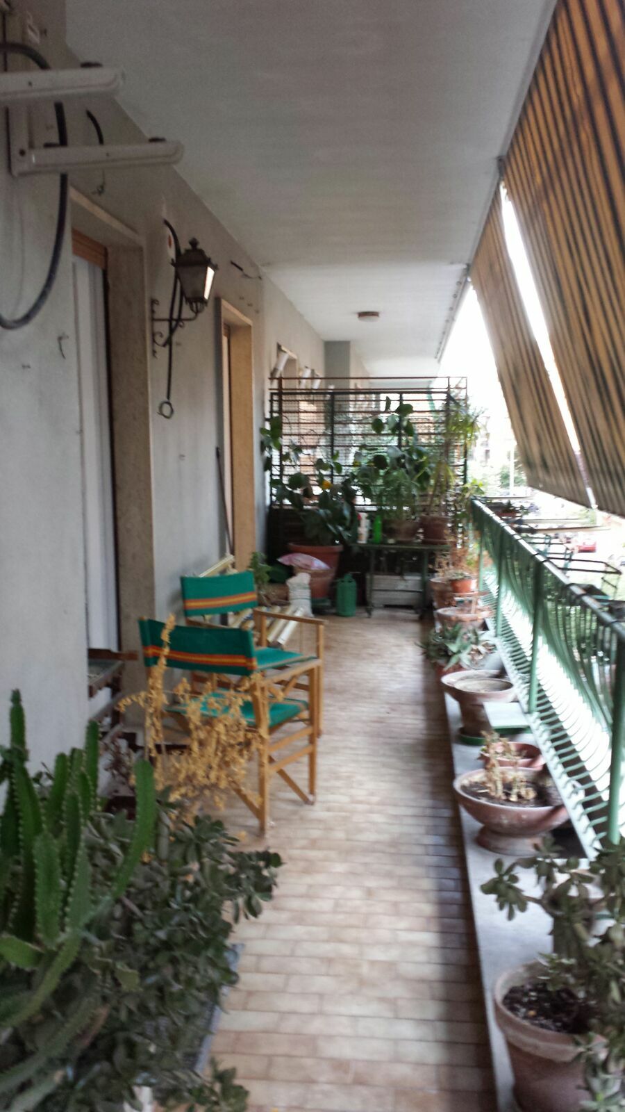 Colocation Roma 144685