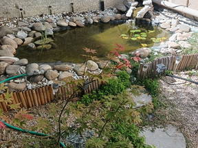 Apartamento de temática asiática/Jardín Zen de Asia