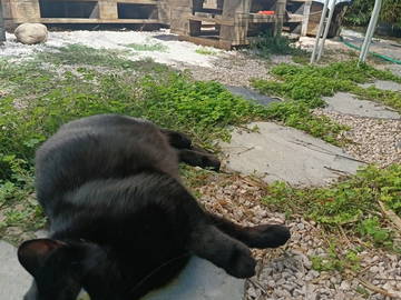 Chambre Chez L'habitant Le Pontet 266044-6