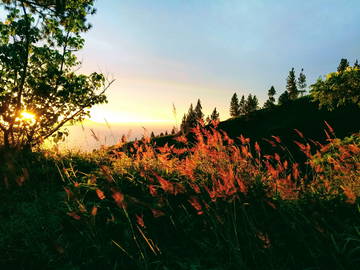 Logement Entier Puna'auia 249291-5