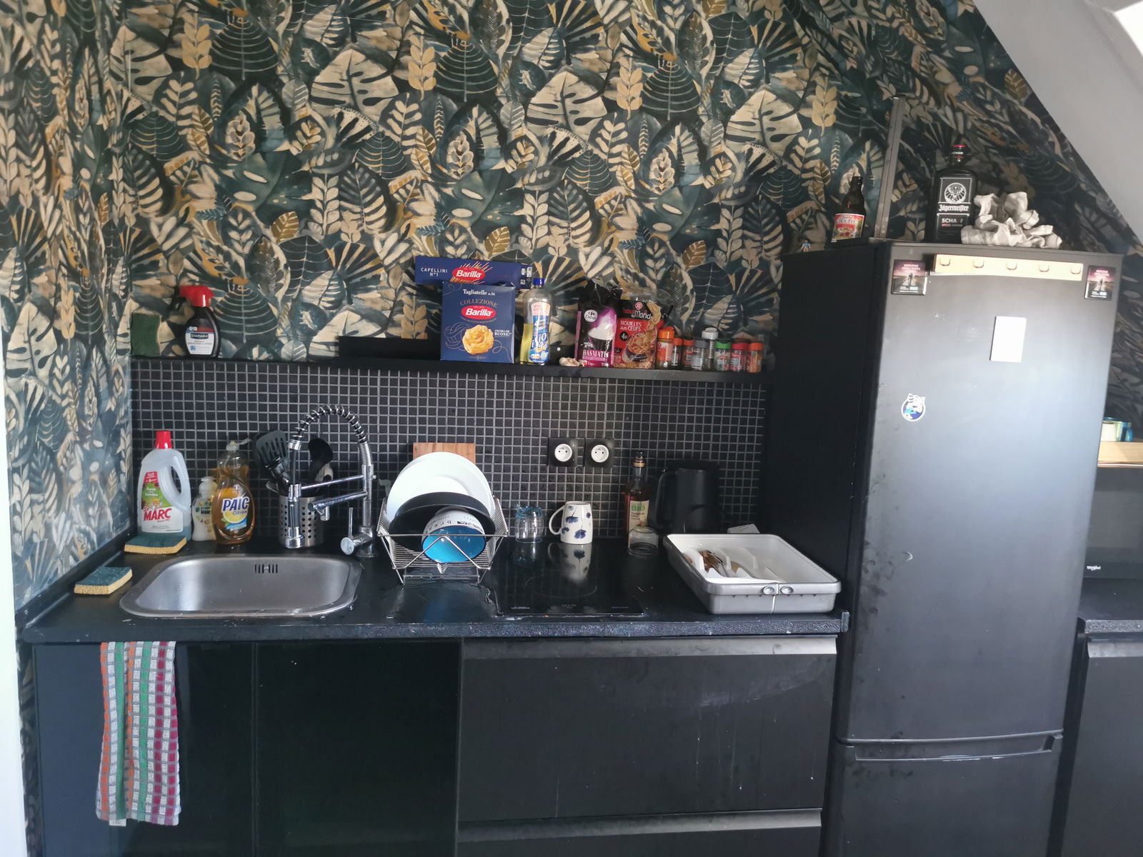 Colocatie Lille 447048