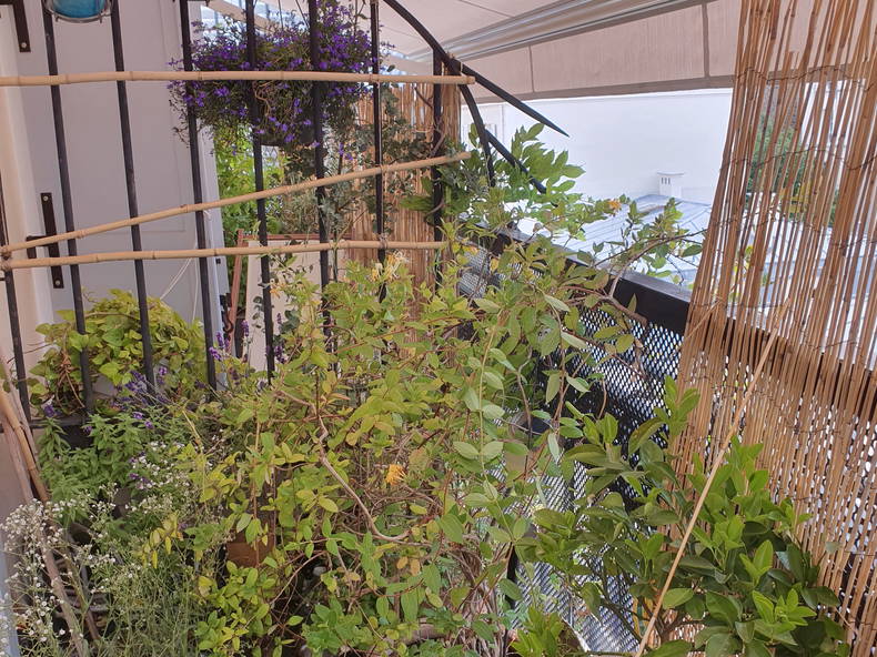 Ganzes Haus Paris 151869-3