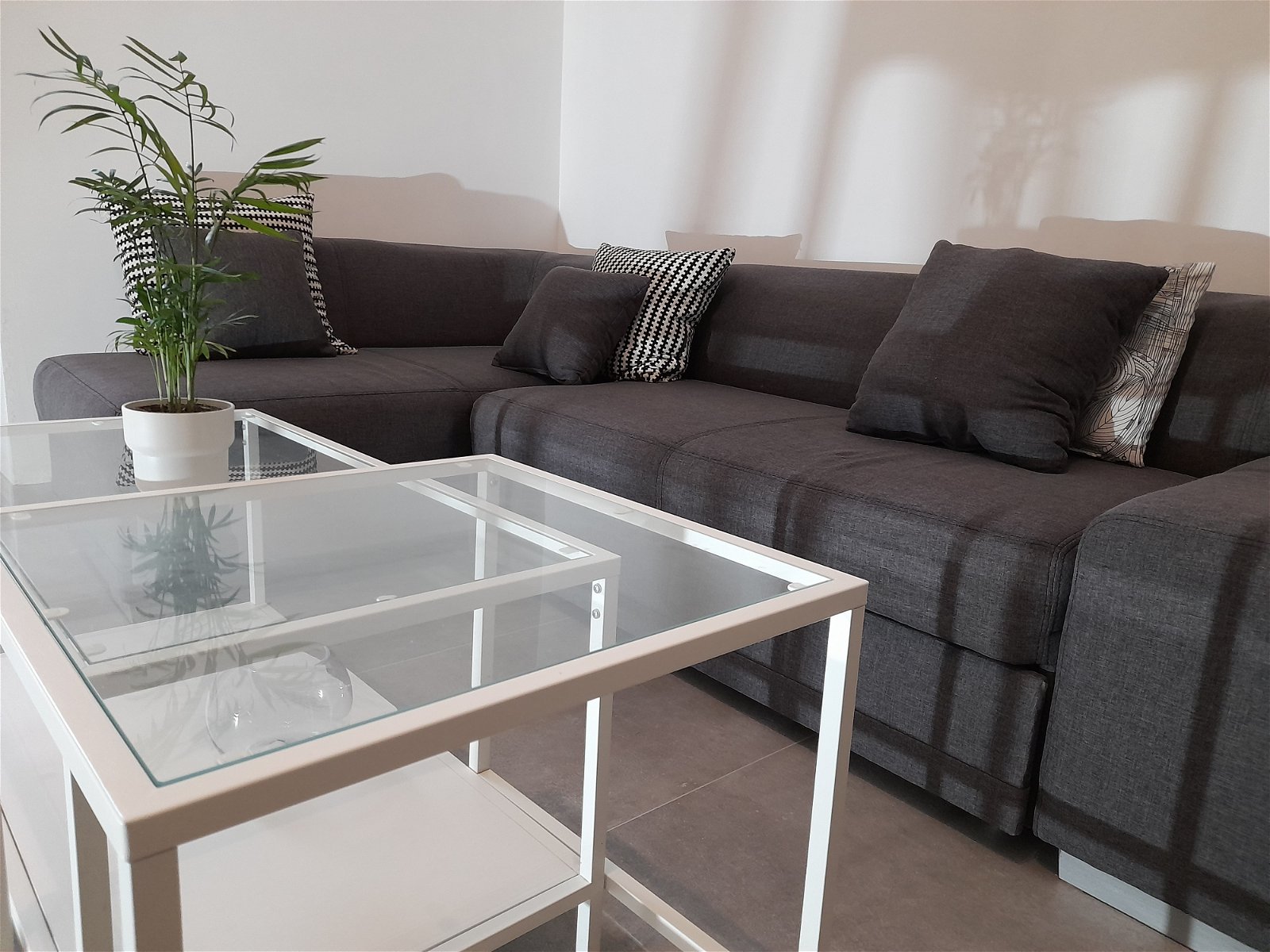 Unabhängiges Studio Charleroi 258778