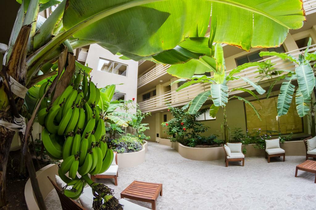 Logement Entier Lazareto 148615