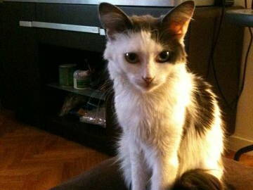 Colocation Villejuif 18105-5