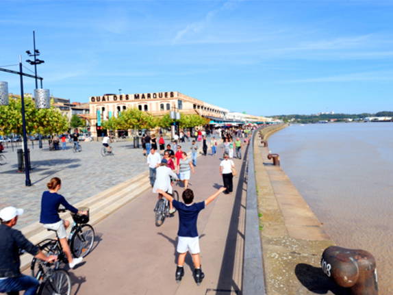 Toda La Casa Bordeaux 49922-5