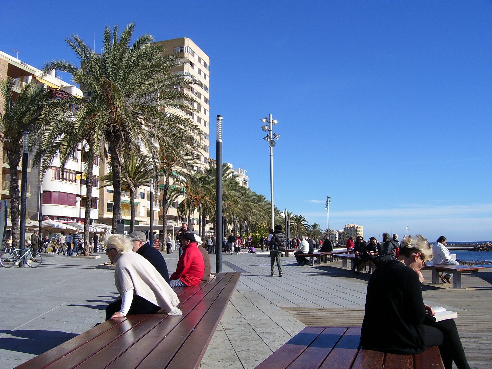 Itsenäinen Studio Torrevieja 87426
