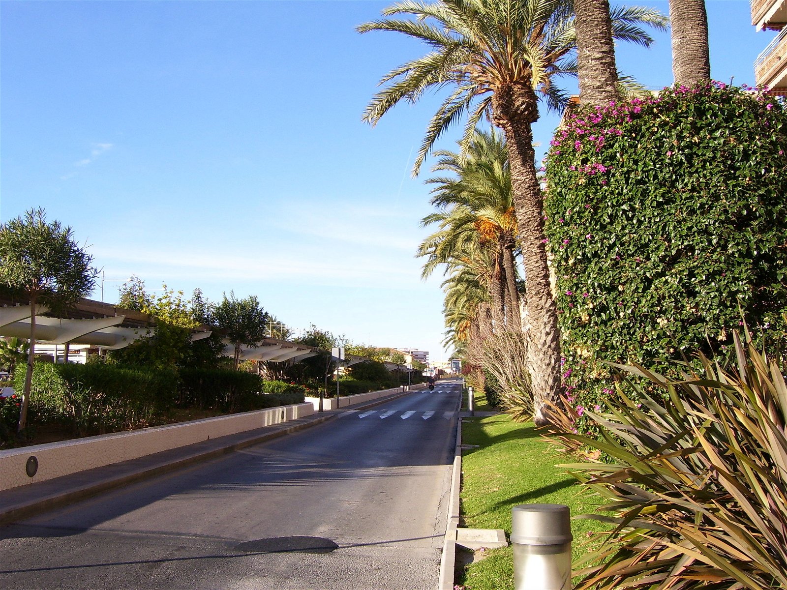 Itsenäinen Studio Torrevieja 87426