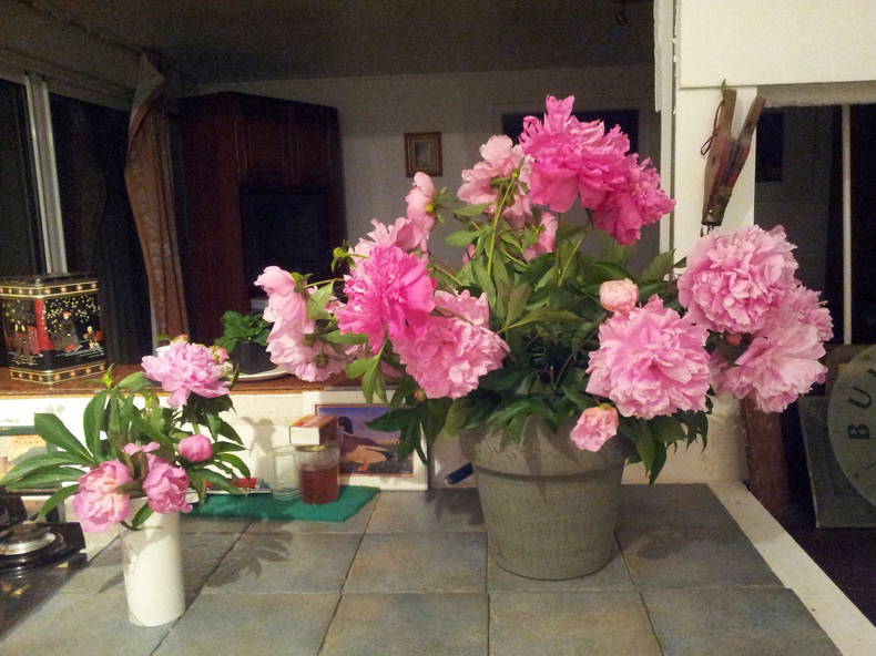 Colocation Bazainville 109323-5