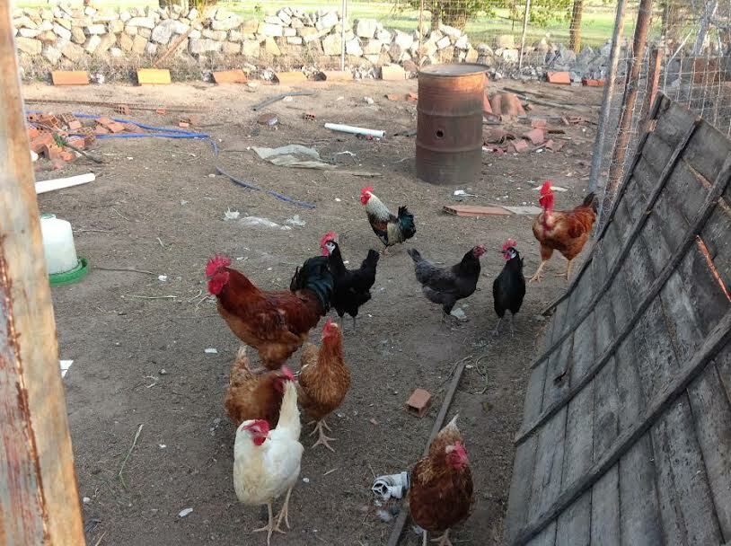 Logement Entier La Serrada 86883