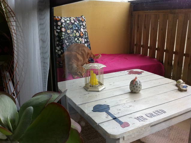 Homestay Talence 11458