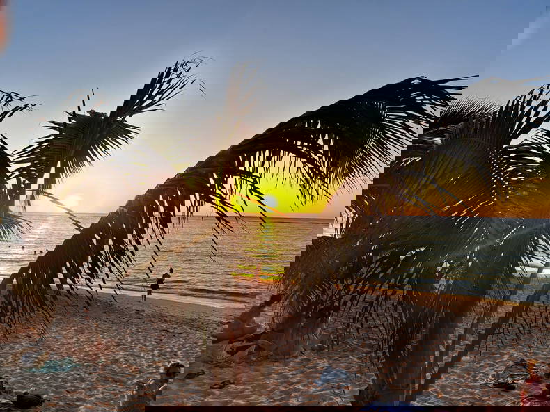 Entire Home Flic en Flac 377961-1