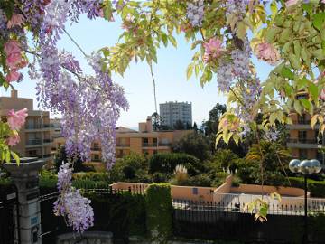 Logement Entier Nice 214146-11