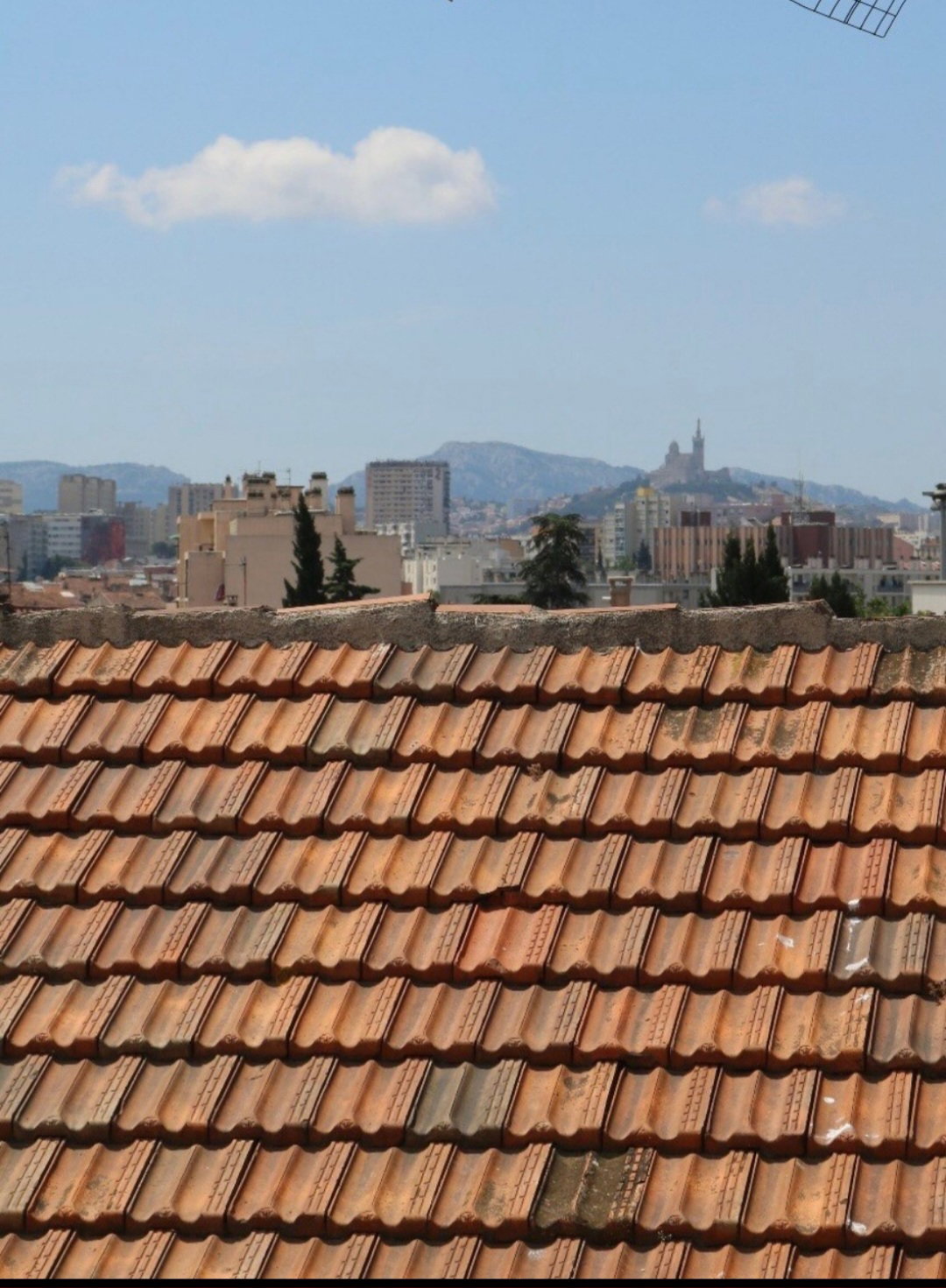 Gaascht Zëmmeren Marseille 392872