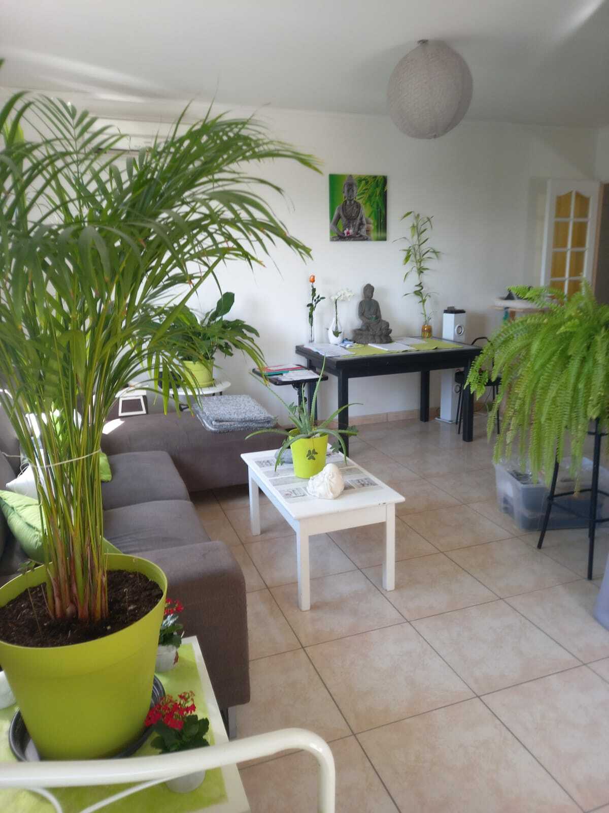 Ganz Haus Avignon 259764