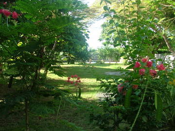 Logement Entier Grand Gaube 36493-8