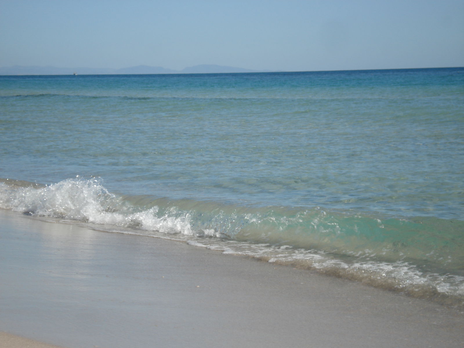 Studio Indépendant Tunis 225163