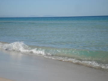 Logement Entier Tunis 225163-9