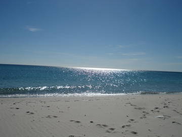 Logement Entier Tunis 225163-10