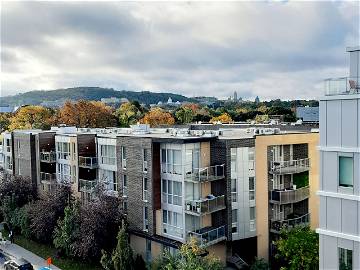 Entire Home Montréal 309069-8