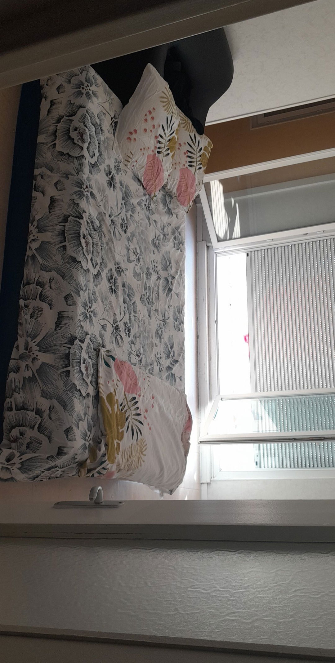 Logement Entier Angoulême 261666