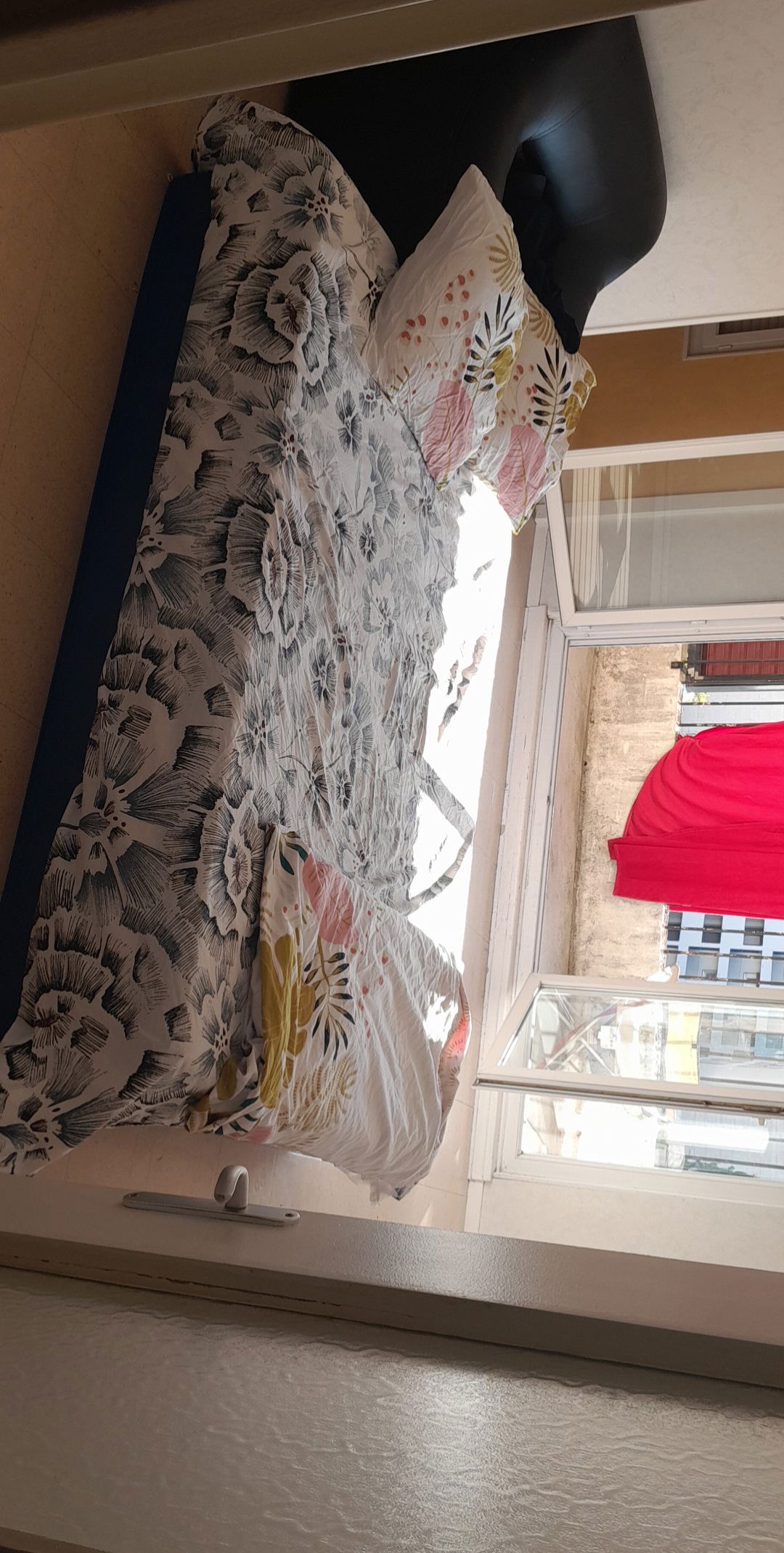 Logement Entier Angoulême 261666