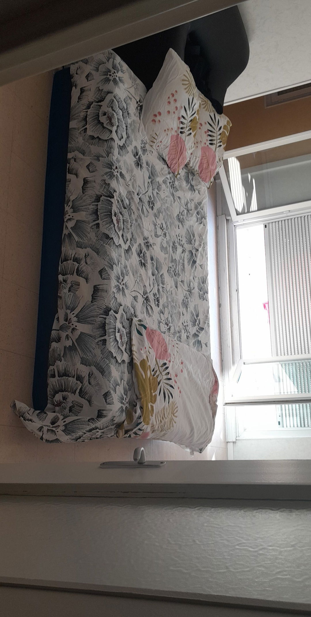 Logement Entier Angoulême 261666