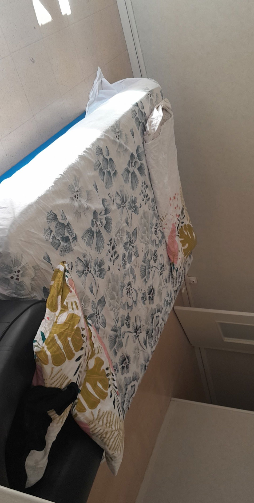 Logement Entier Angoulême 261666