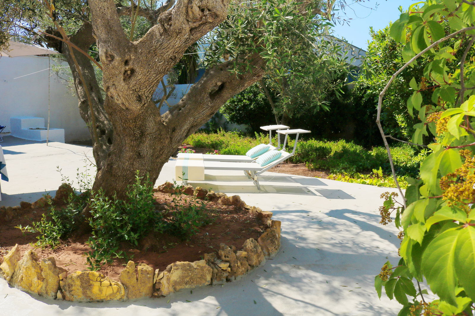 Unabhängiges Studio Torre Suda 267366