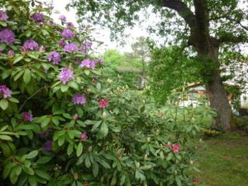 Logement Entier Mios 243539-16