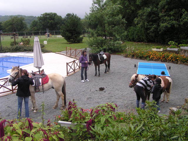 Camere Per Gli Ospiti Droux 35680-3