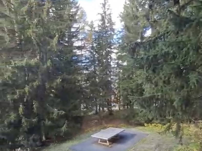 Logement Entier Bourg-Saint-Maurice 614447-1